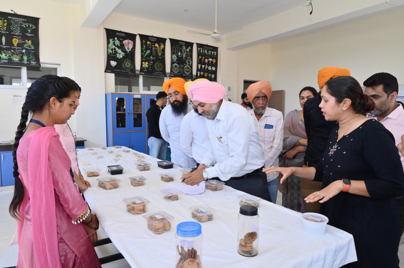 Incubation Centre